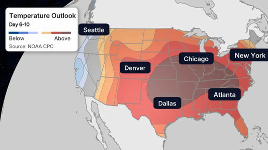 Solivagant — Midwest Mayhem Incoming