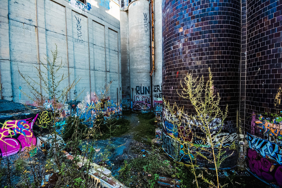 Canada maltage Montréal