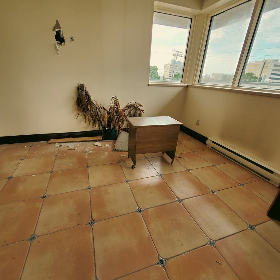 A. C. Leslie & Cie Limitée