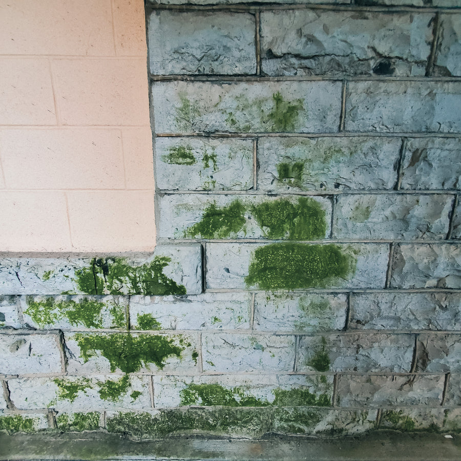 Prison de Kingston pour femmes 