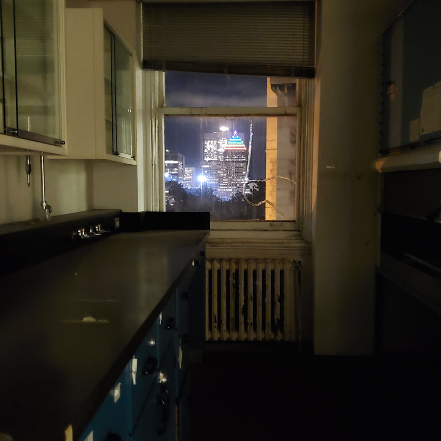 Hôpital Royal Victoria