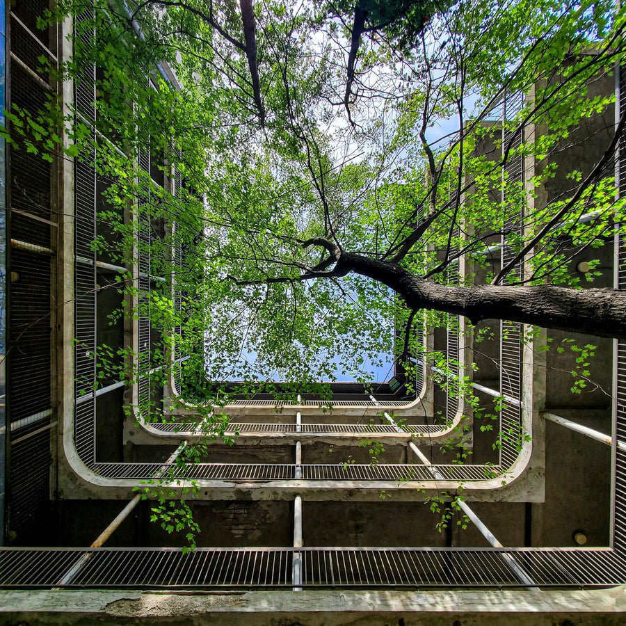 Hôpital de la Miséricorde