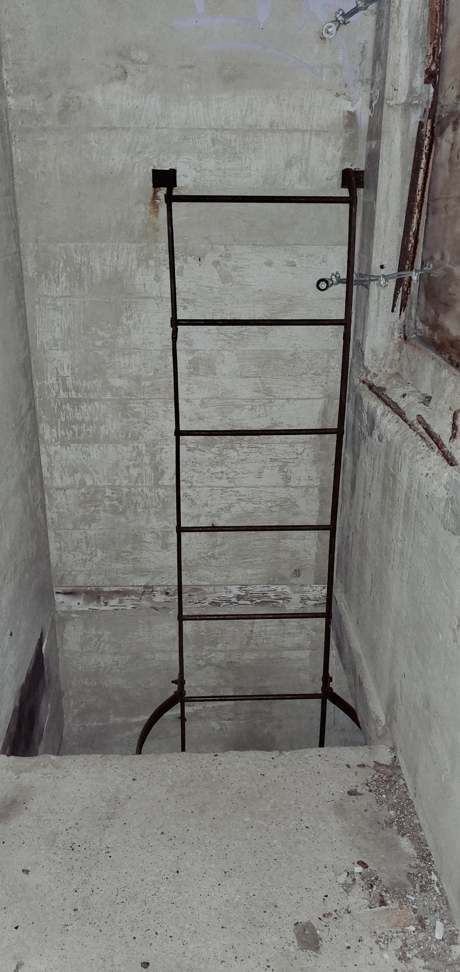 Toronto Canada malting