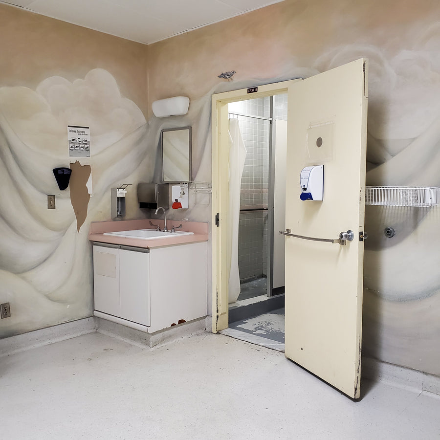 Hôpital Royal Victoria