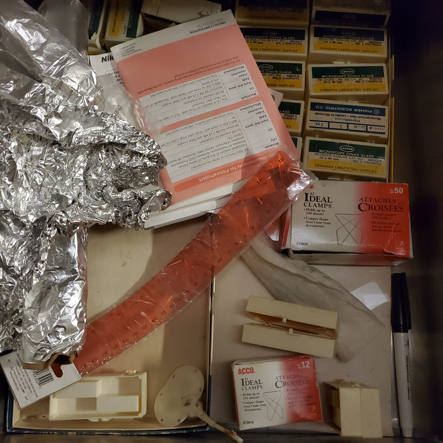 Hôpital Royal Victoria