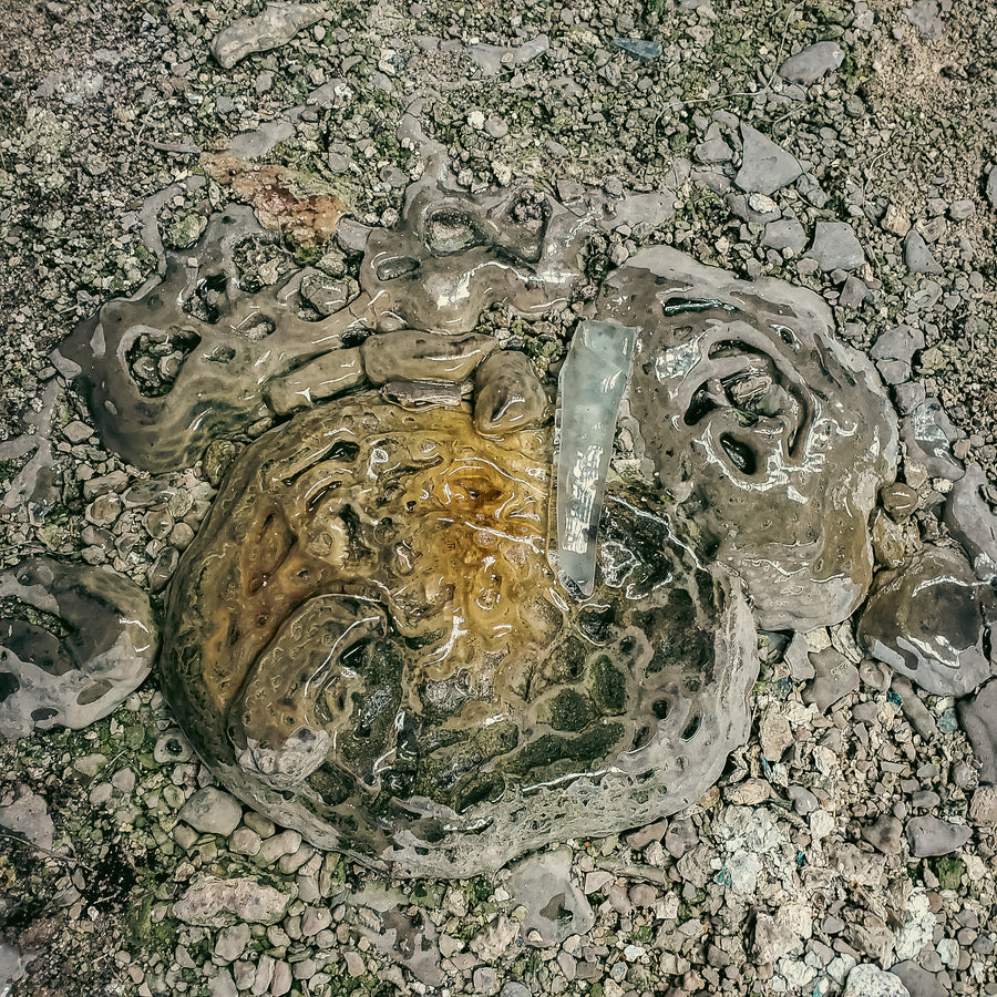 Incinérateur des Carrières