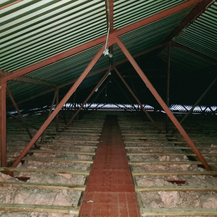 Prison de Kingston pour femmes 