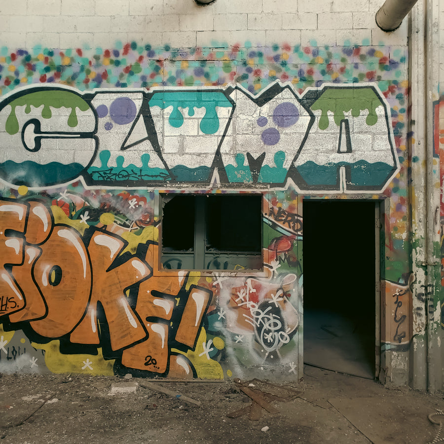 Incinérateur Dickson 