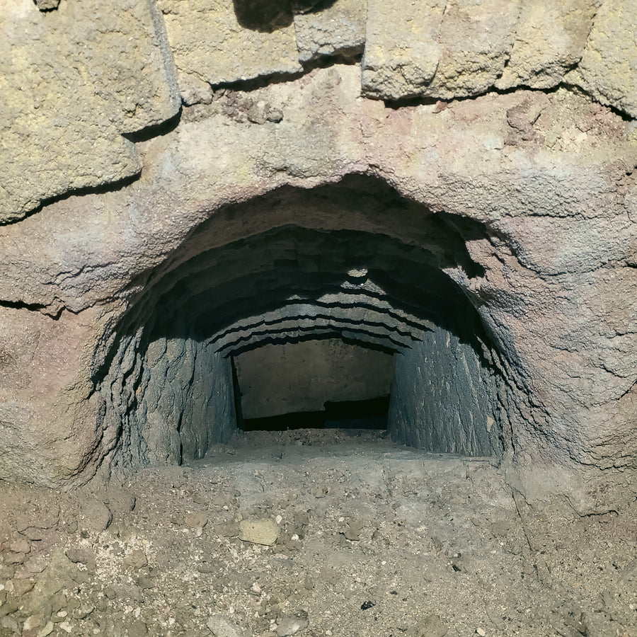 Incinérateur Dickson 