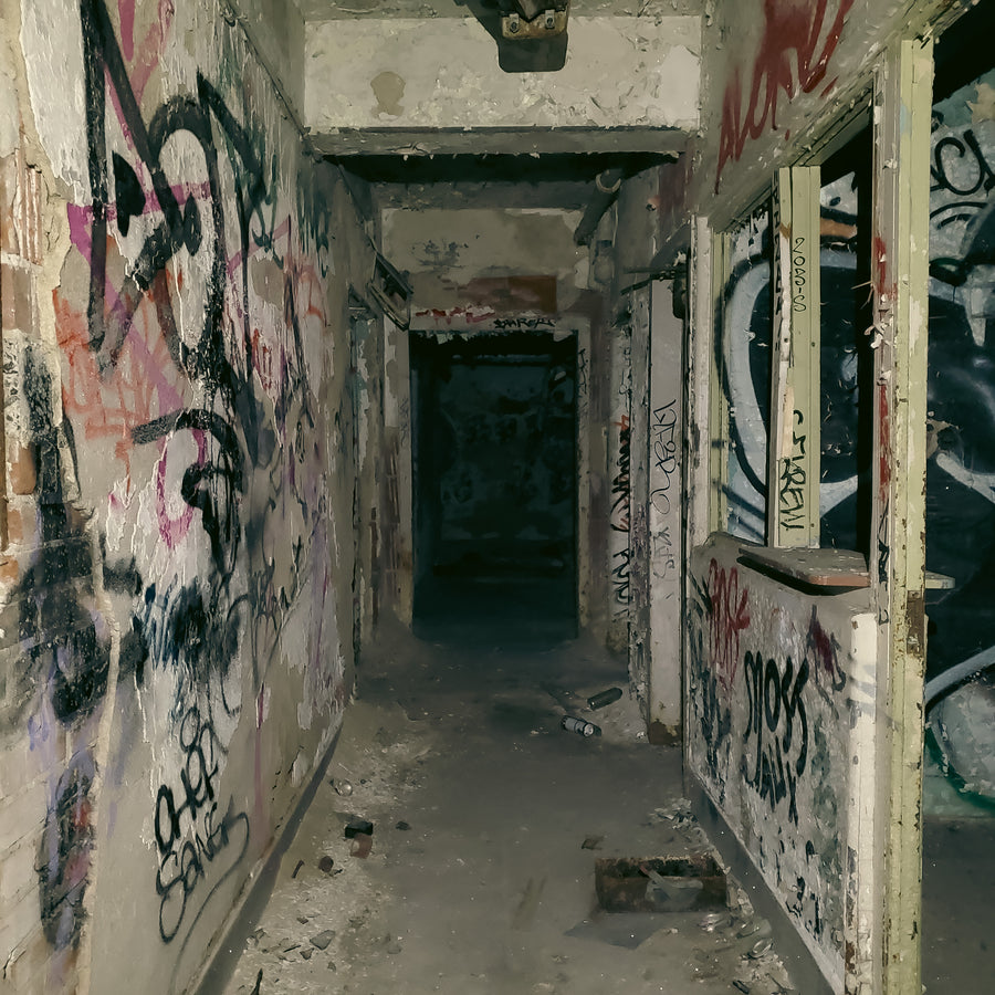 Incinérateur Dickson 