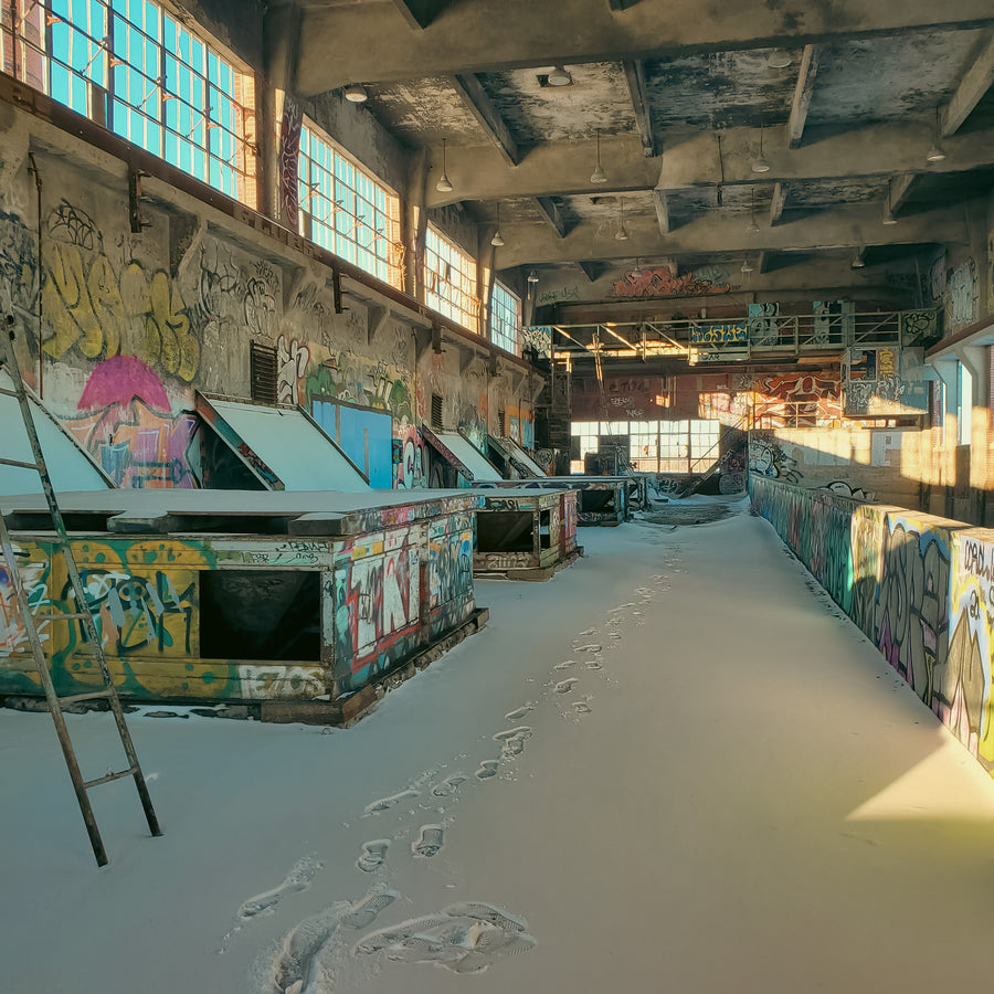 Incinérateur Dickson 