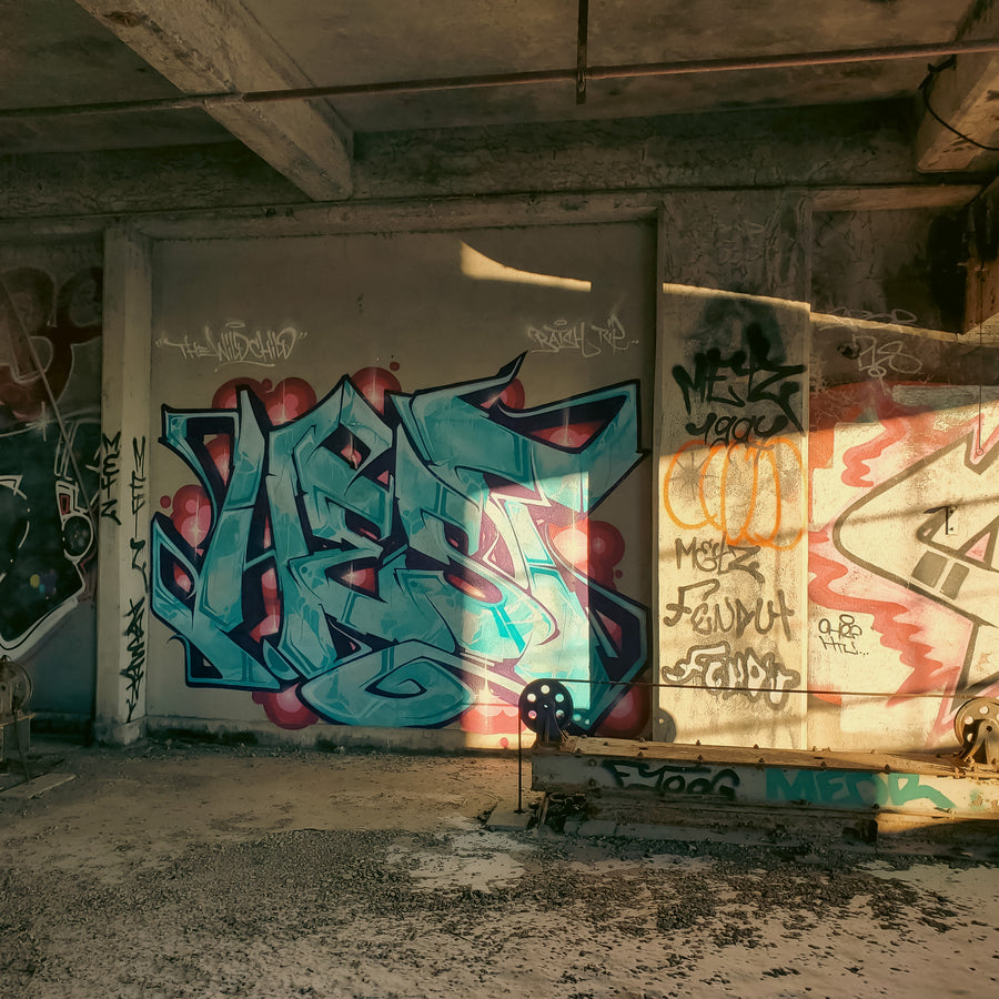 Incinérateur Dickson 