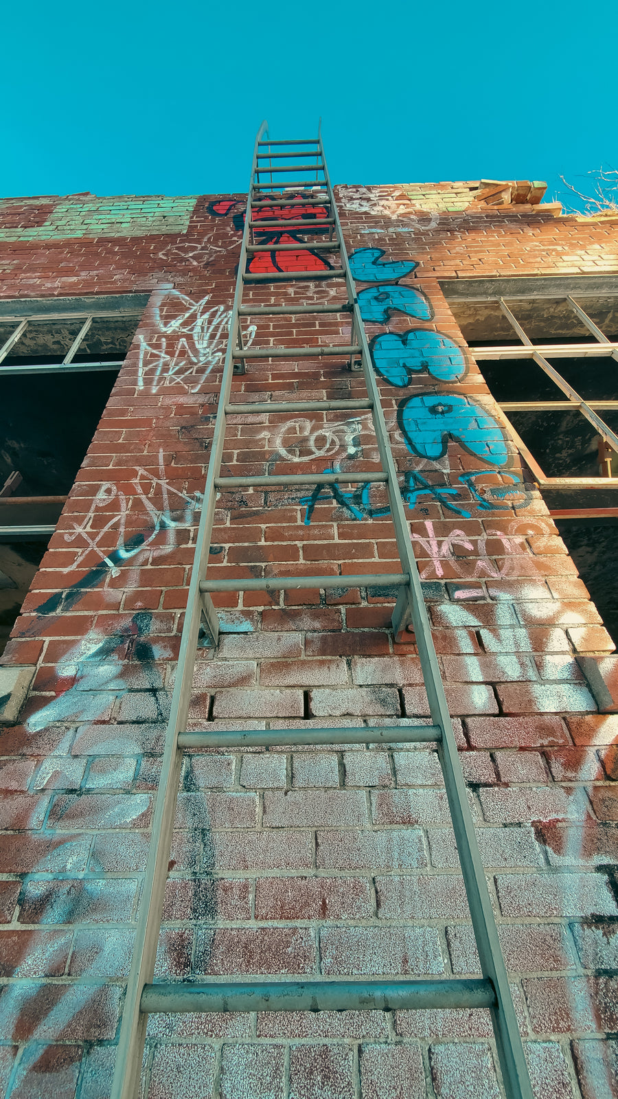 Incinérateur Dickson 