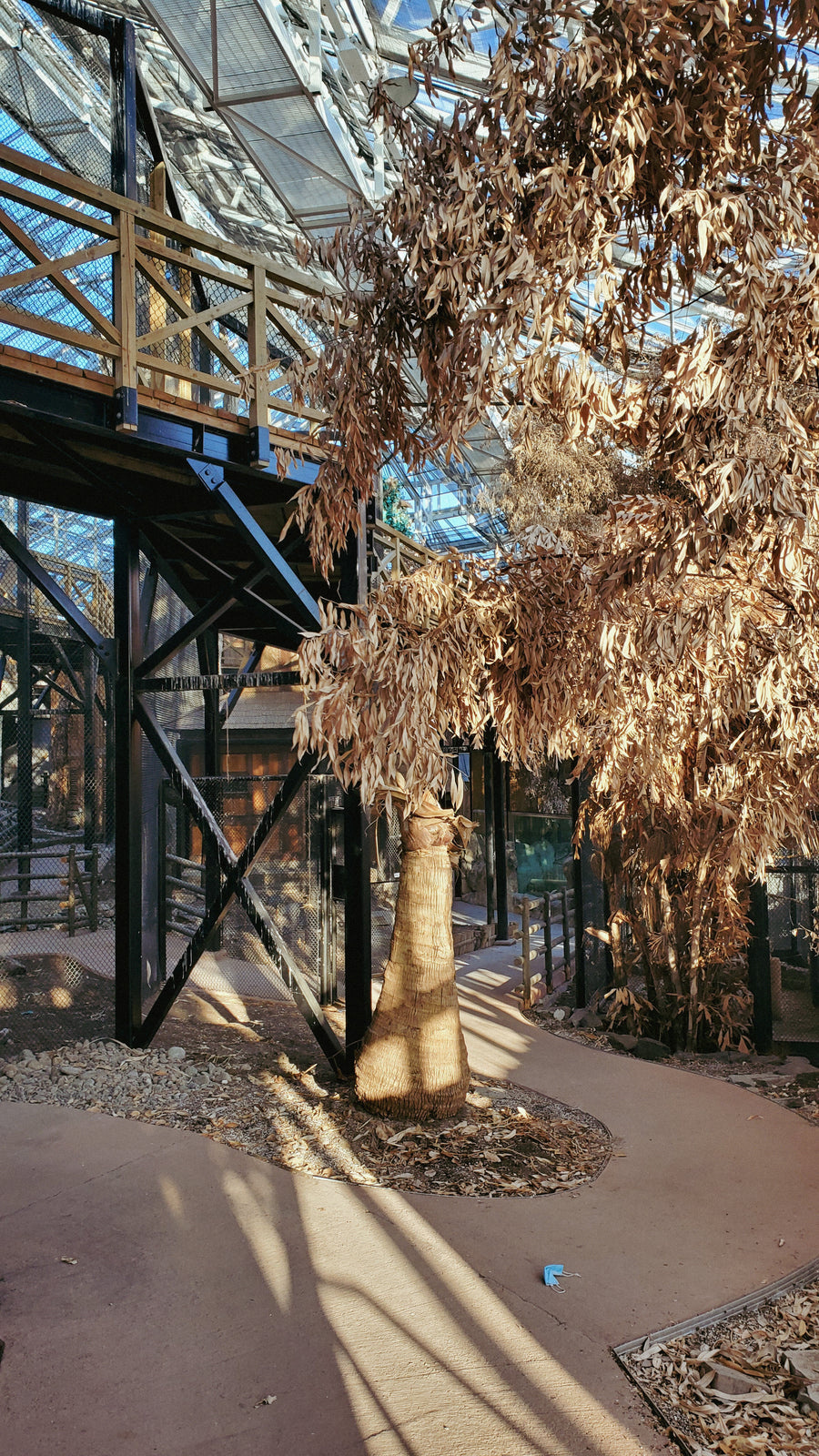 Serre du zoo de Québec