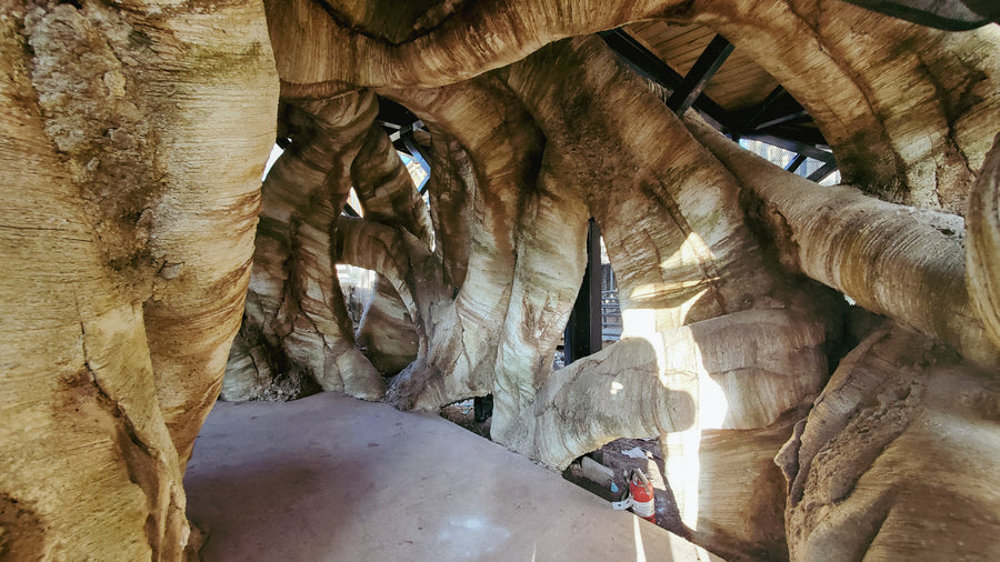 Serre du zoo de Québec