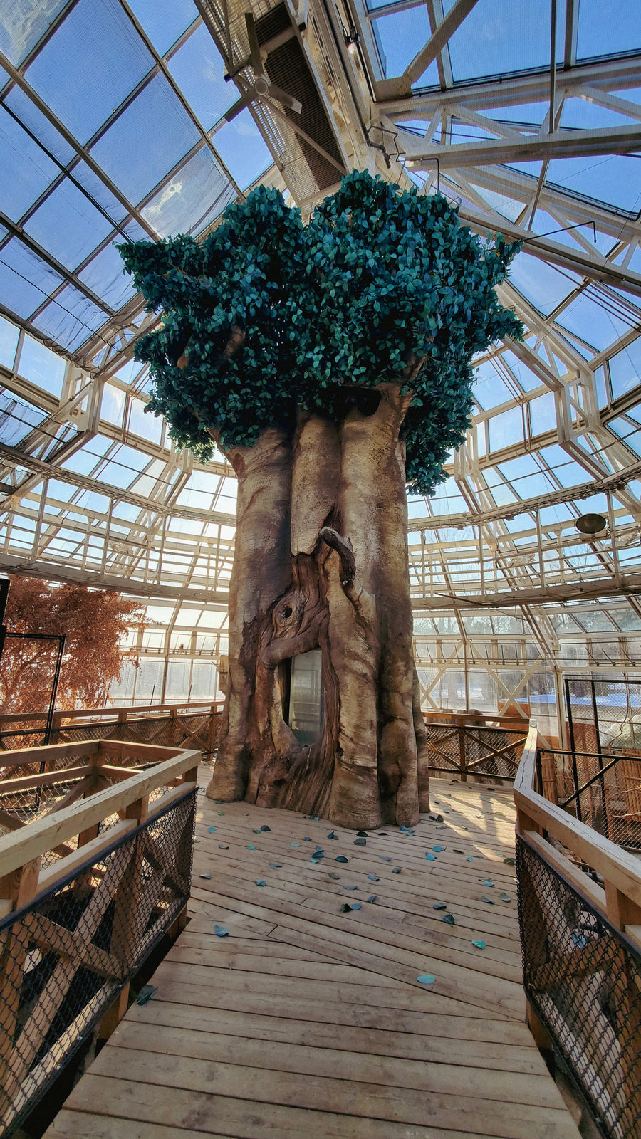 Serre du zoo de Québec