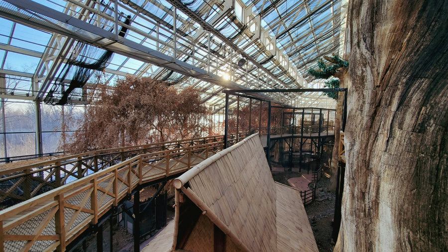 Serre du zoo de Québec