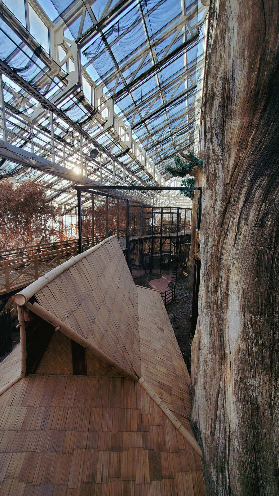 Serre du zoo de Québec