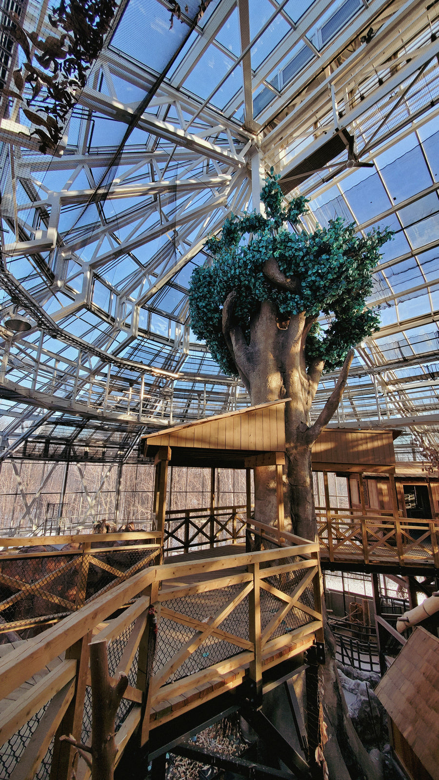 Serre du zoo de Québec