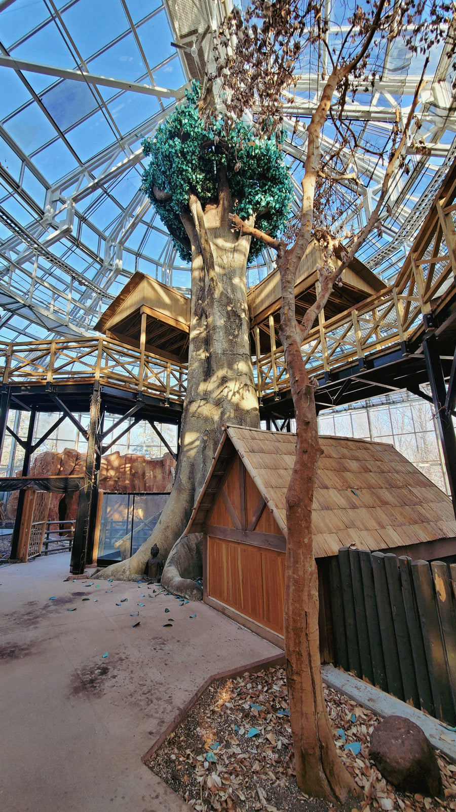 Serre du zoo de Québec