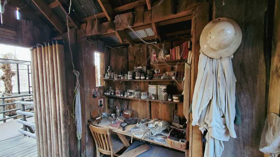 Serre du zoo de Québec