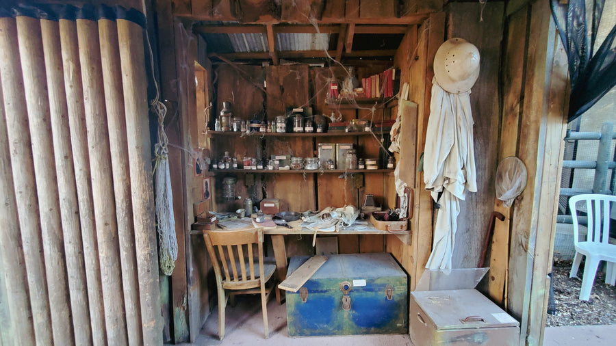 Serre du zoo de Québec