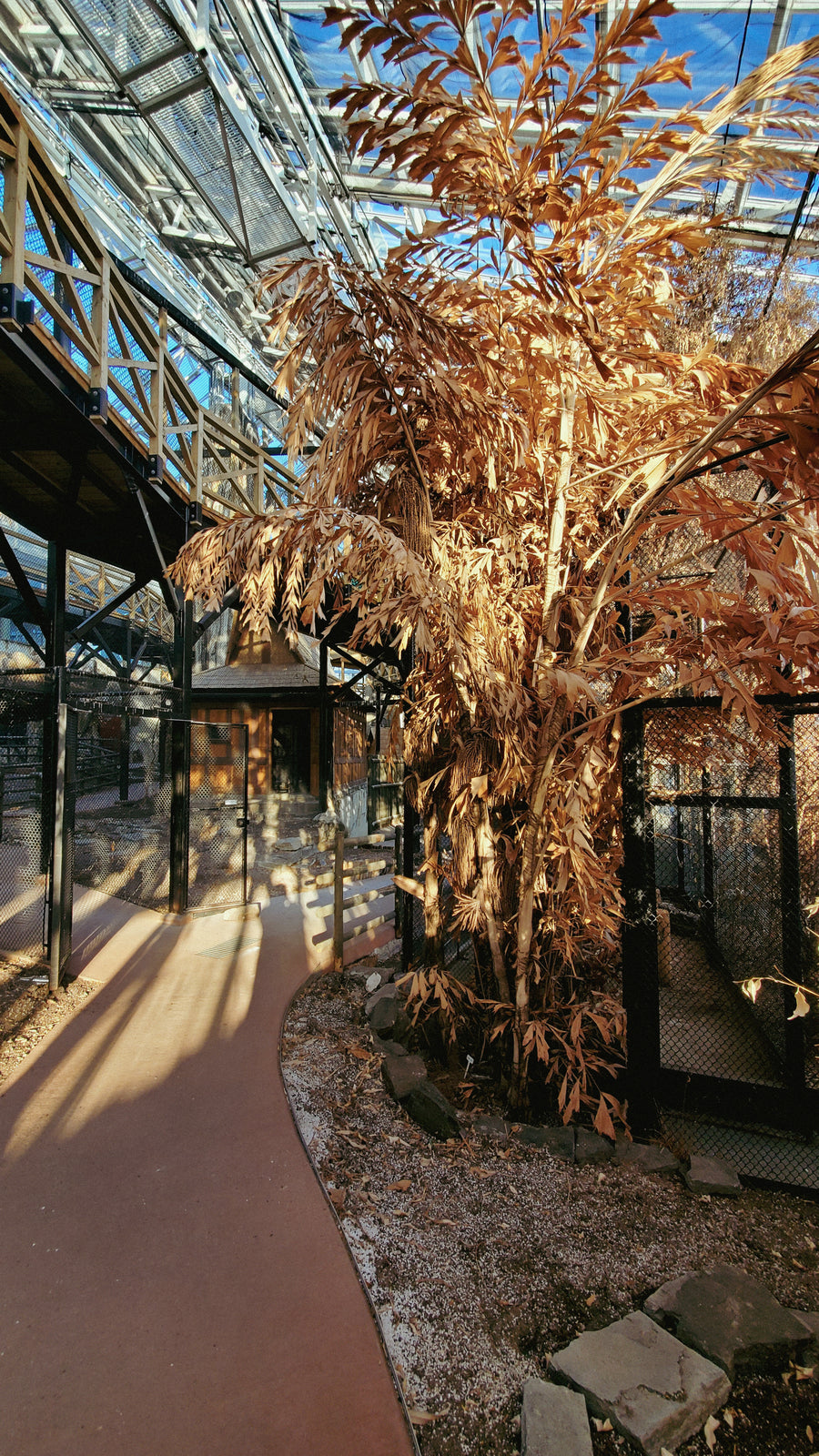 Serre du zoo de Québec