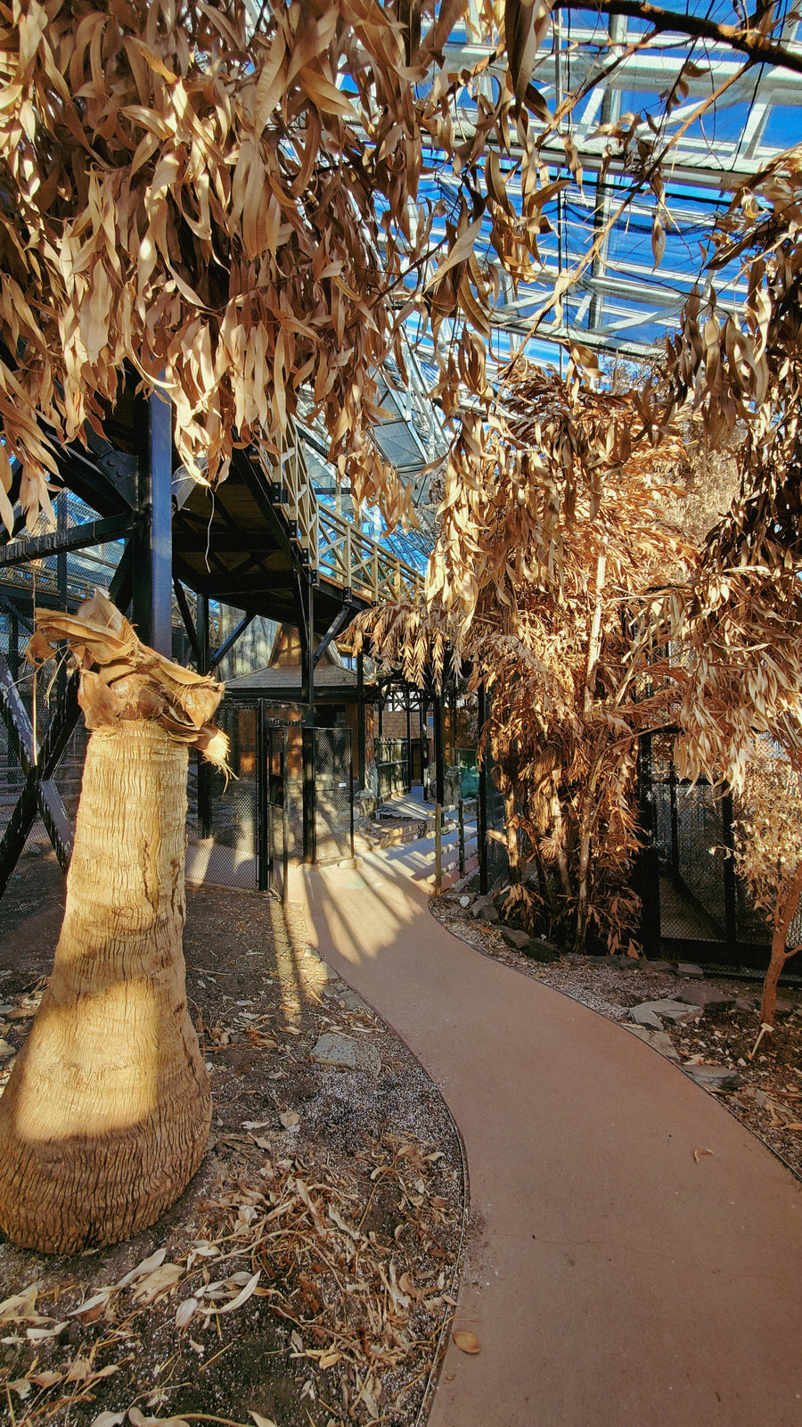 Serre du zoo de Québec