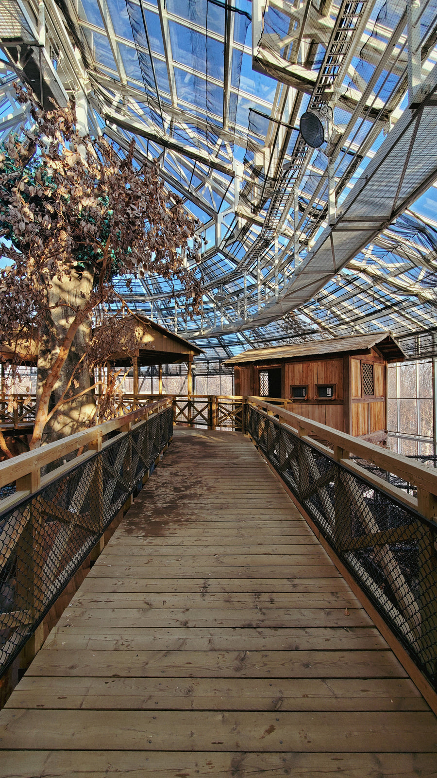 Serre du zoo de Québec