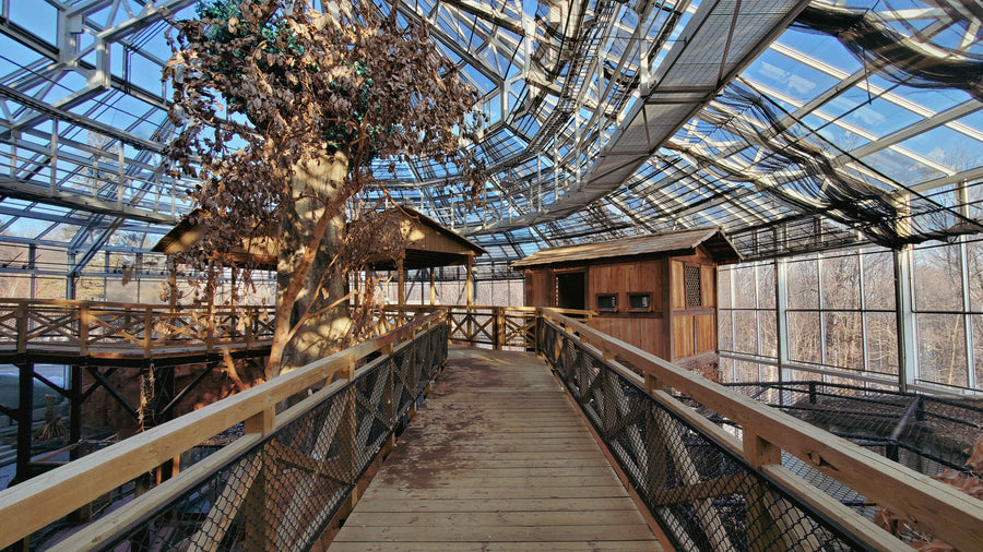 Serre du zoo de Québec