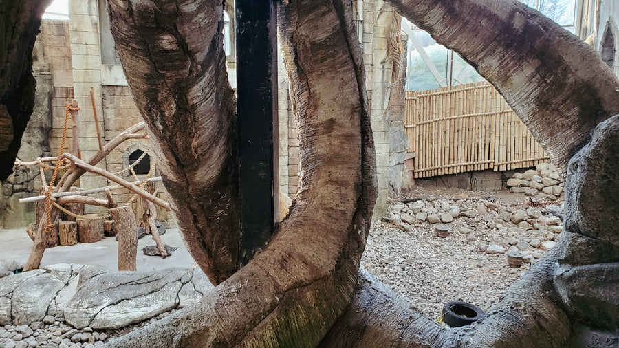 Serre du zoo de Québec