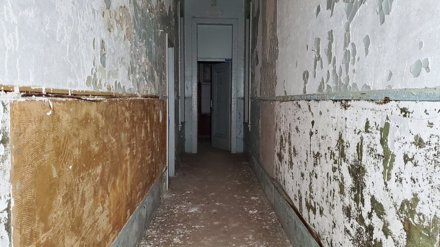 Asile de Londres pour les aliénés