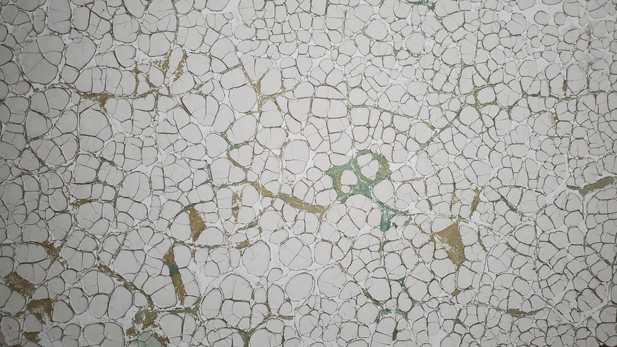 Asile de Londres pour les aliénés