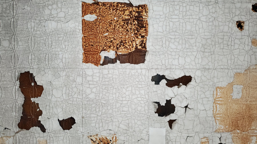 Asile de Londres pour les aliénés