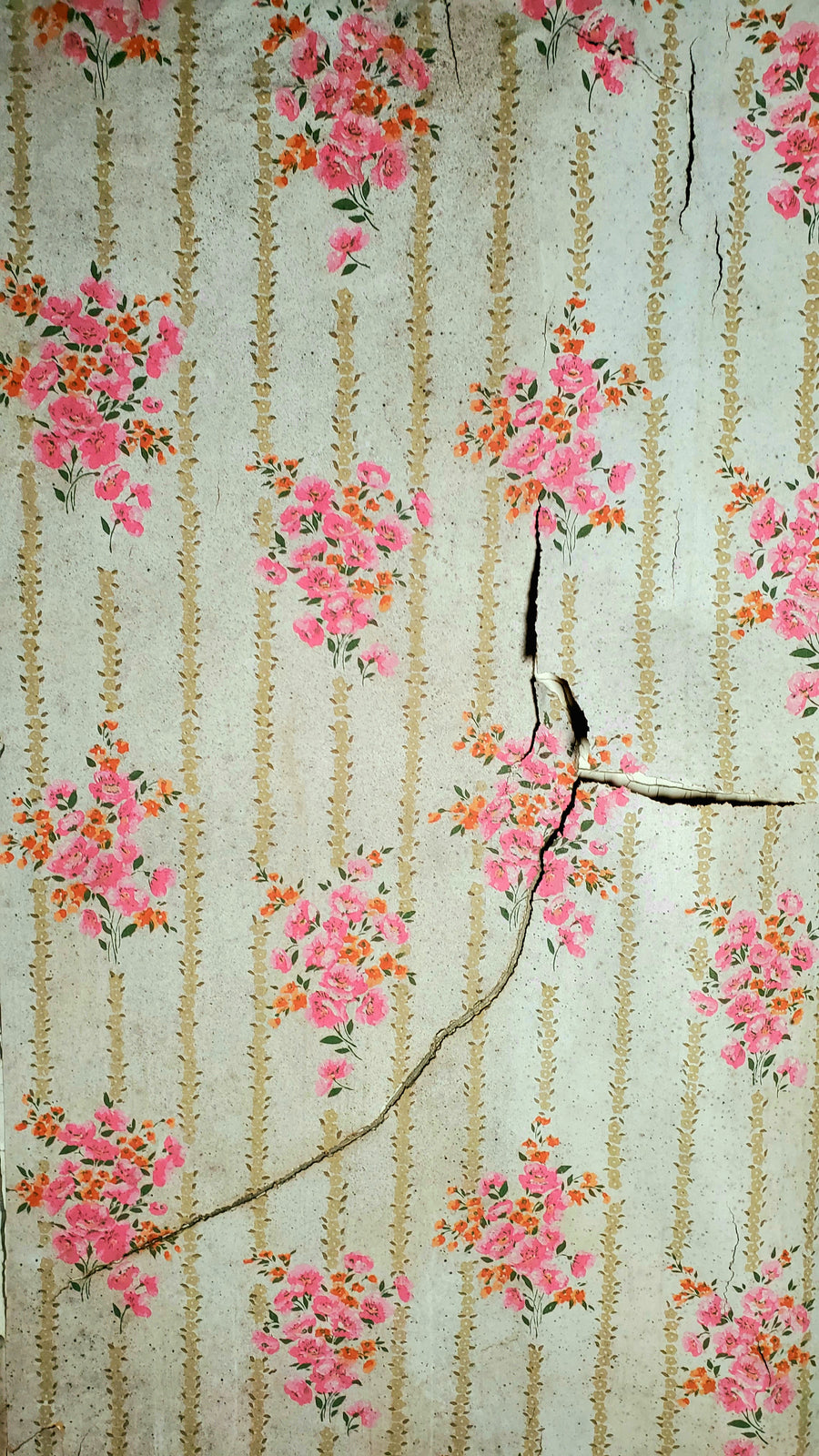 Asile de Londres pour les aliénés