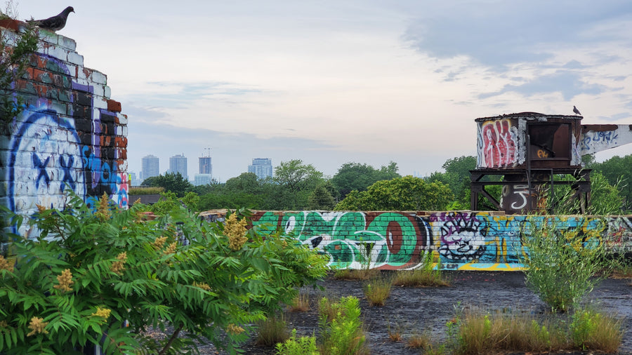 usine d'huile de lin