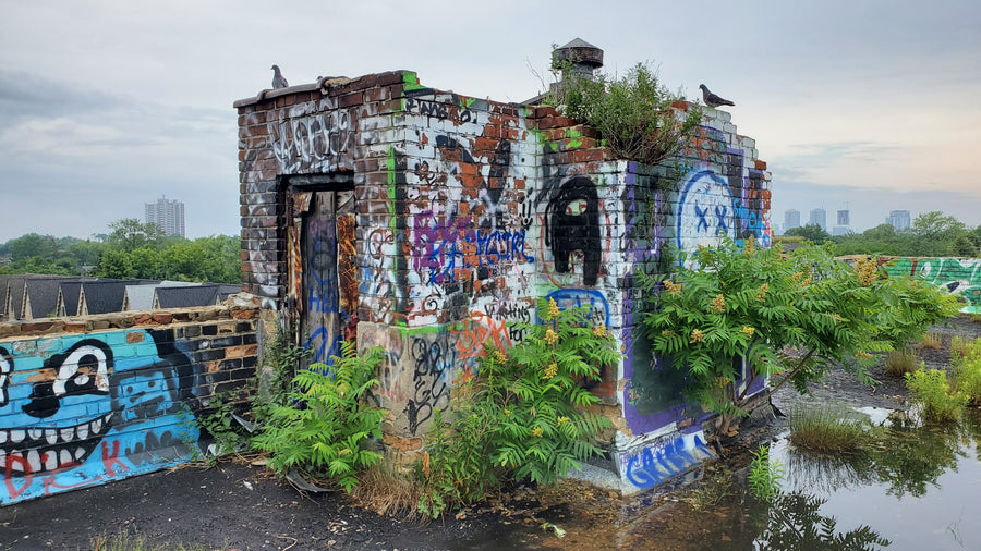 usine d'huile de lin