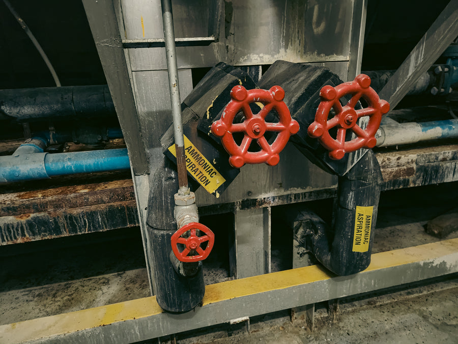 Glacier arctique Montréal 