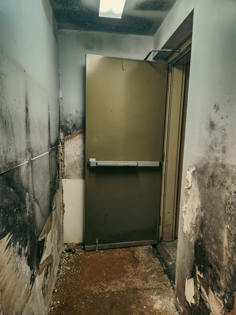 Glacier arctique Montréal 