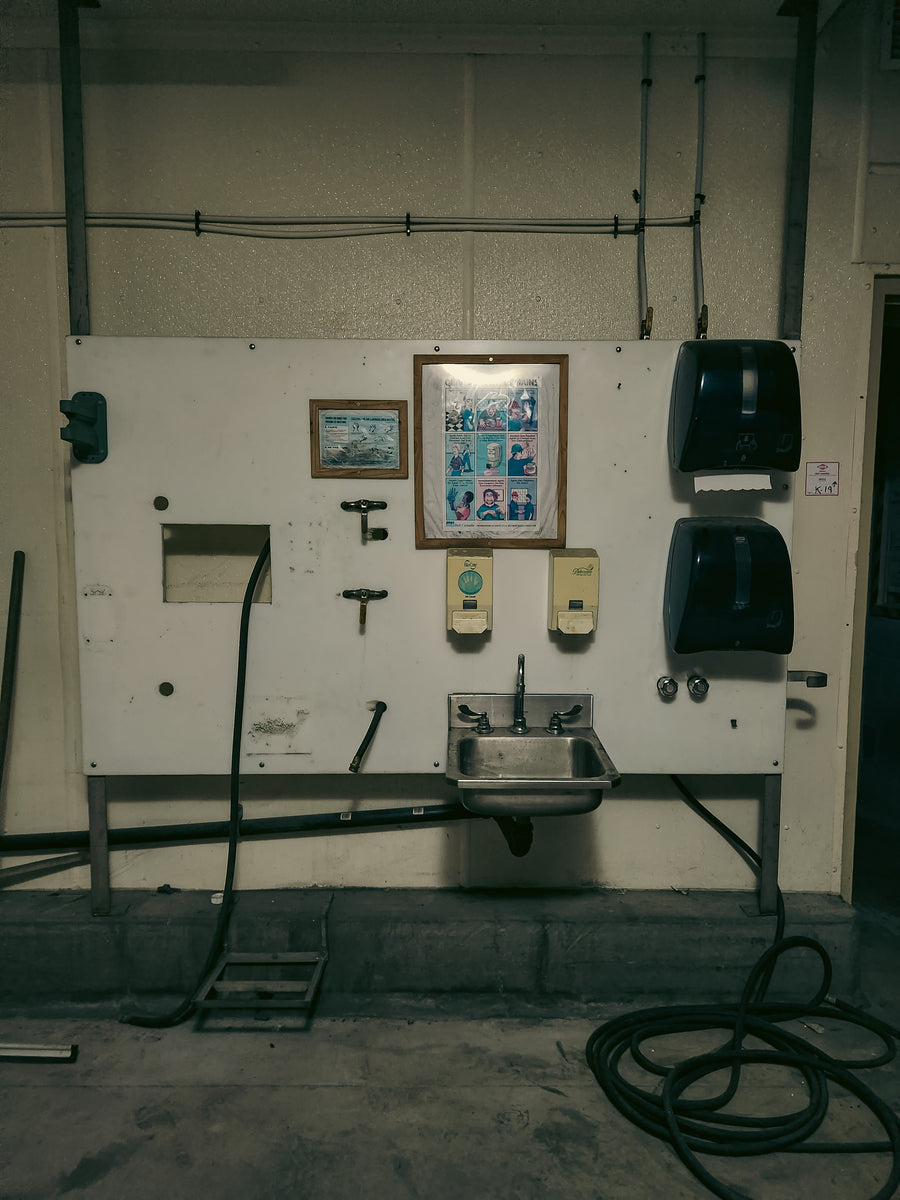 Glacier arctique Montréal 