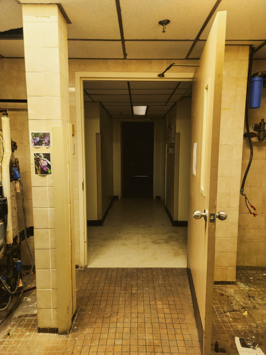 Hôpital Shriners pour enfants