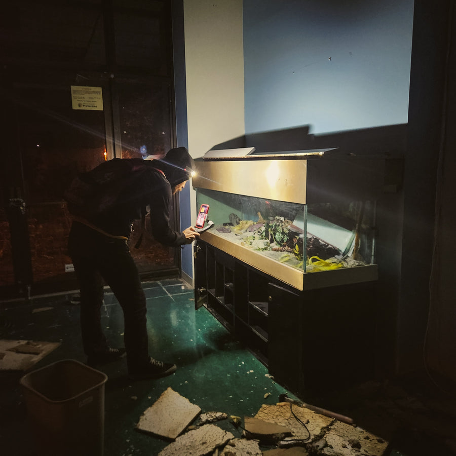 Hôpital Shriners pour enfants