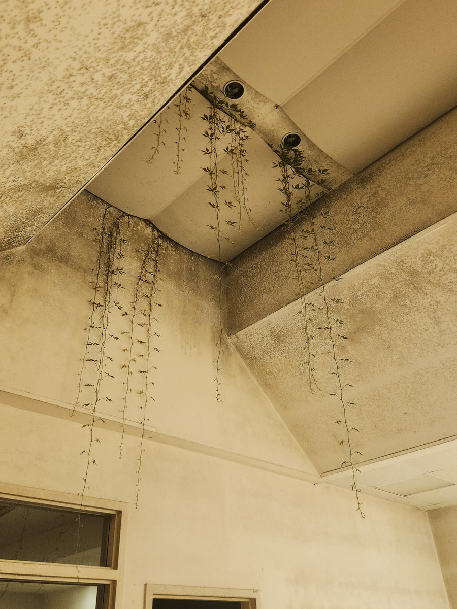 Hôpital Shriners pour enfants