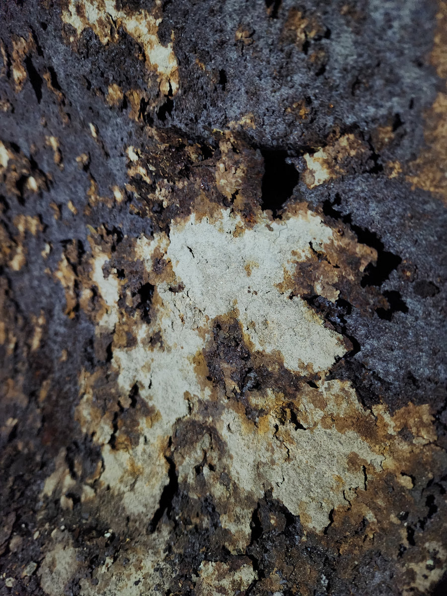 Incinérateur de Westmount