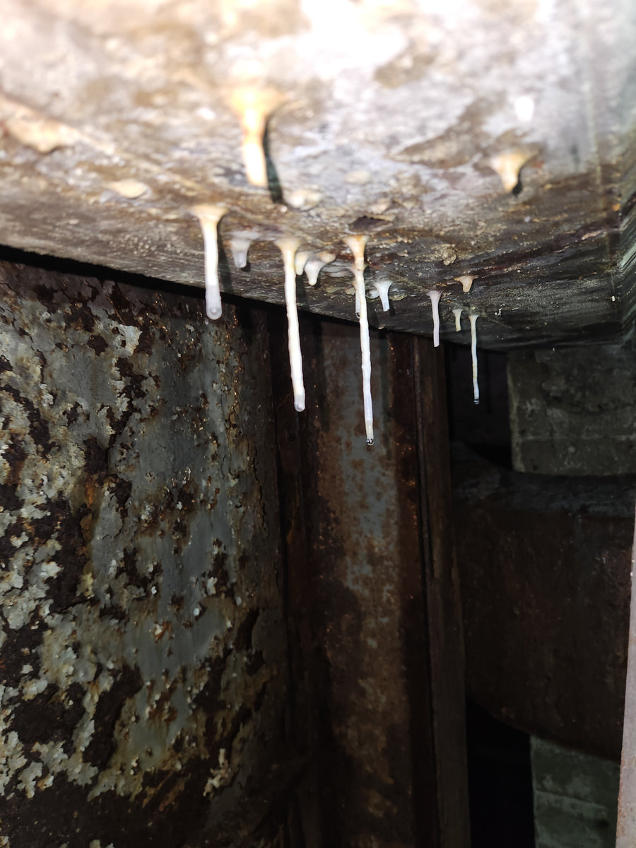 Incinérateur de Westmount