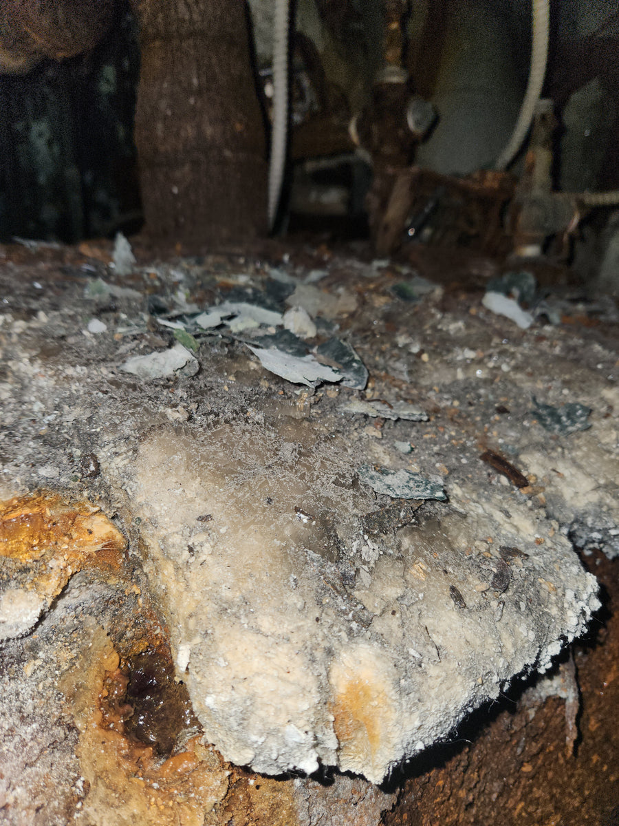 Incinérateur de Westmount