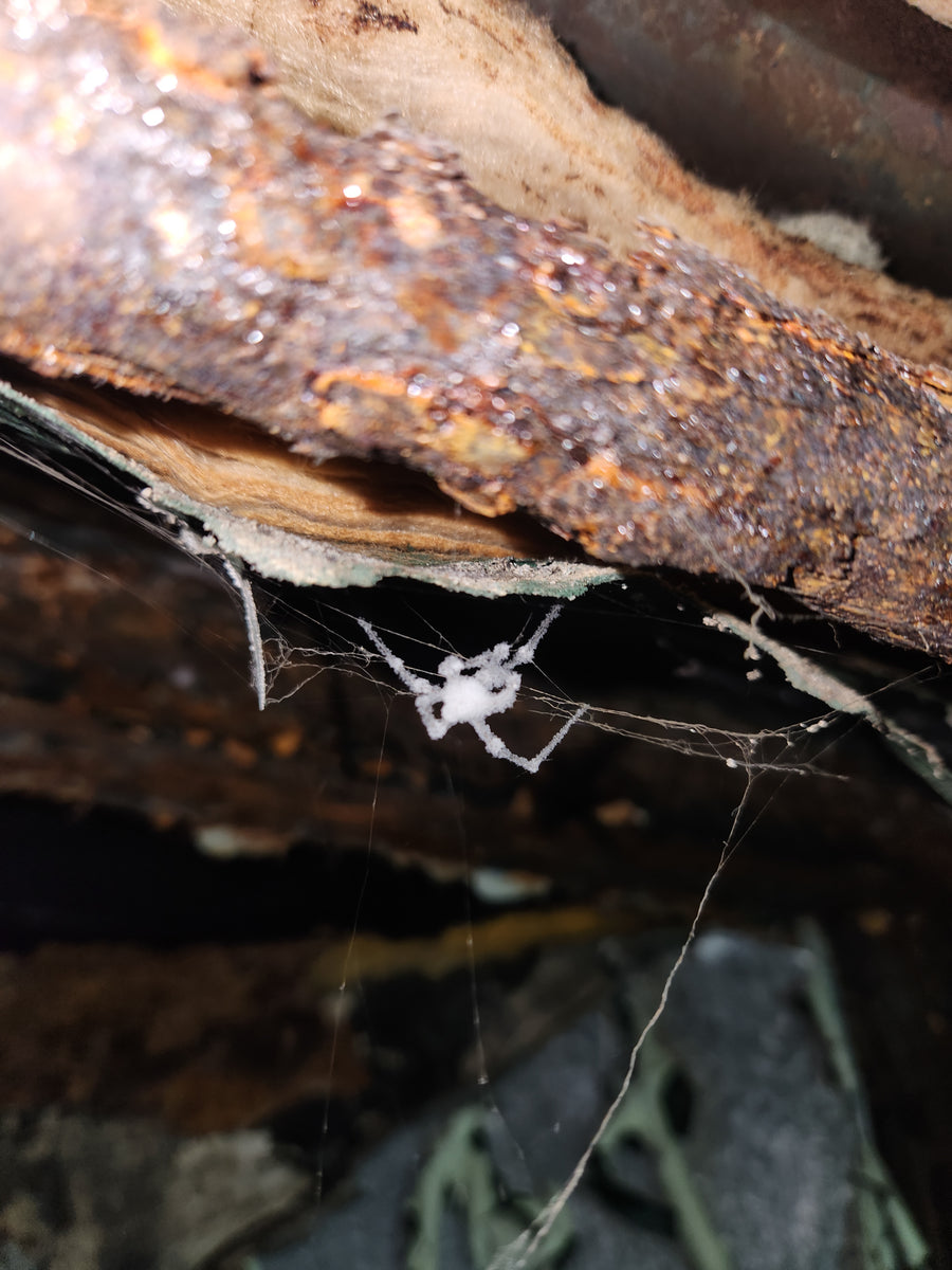 Incinérateur de Westmount