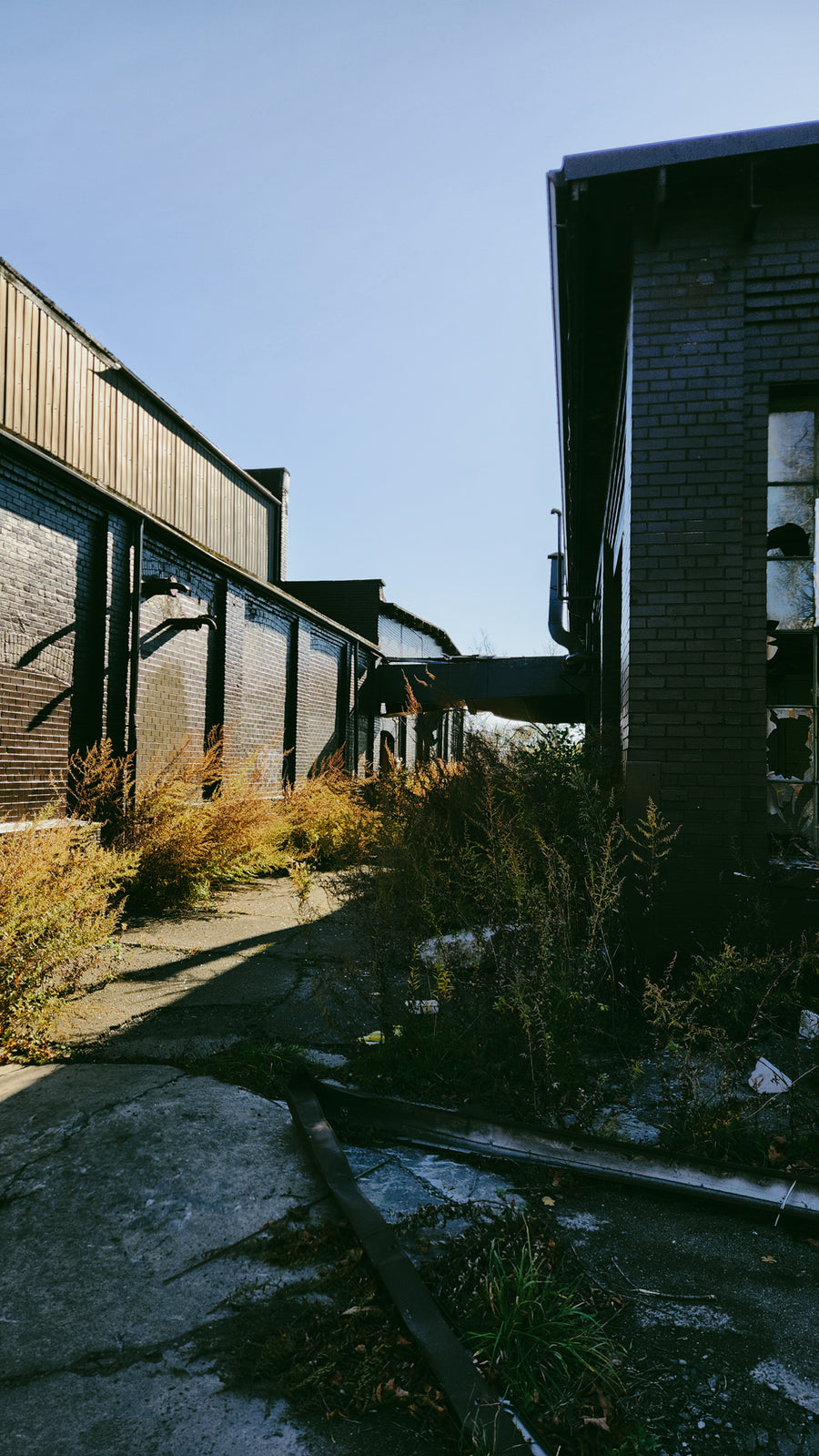 Usine de pneus Continental 