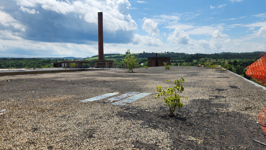 Usine de gants Fownes