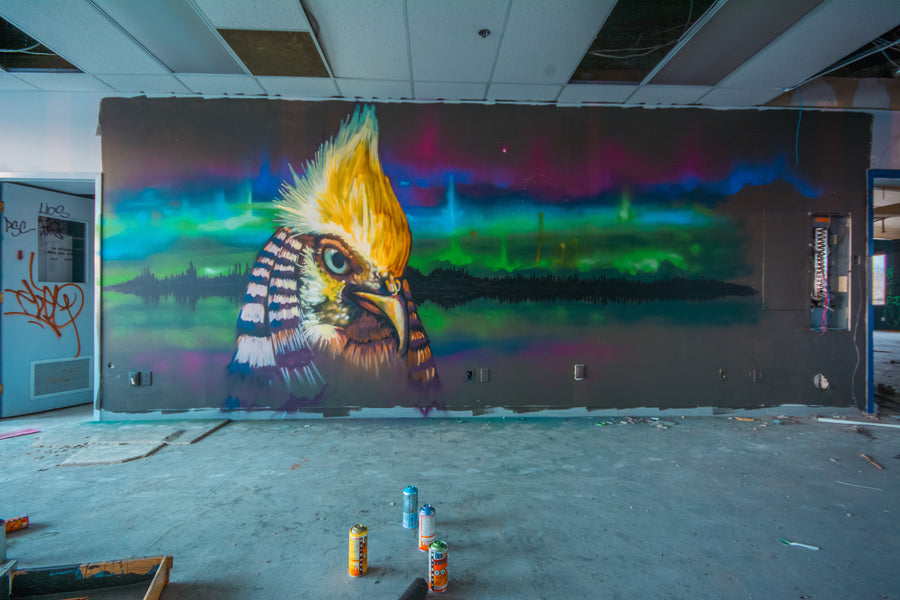 Les Cours st-charles